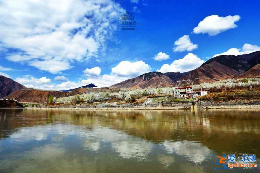 早春川藏線,春花爛漫是主旋律!? 早春川藏線,春花爛漫是主旋律!?