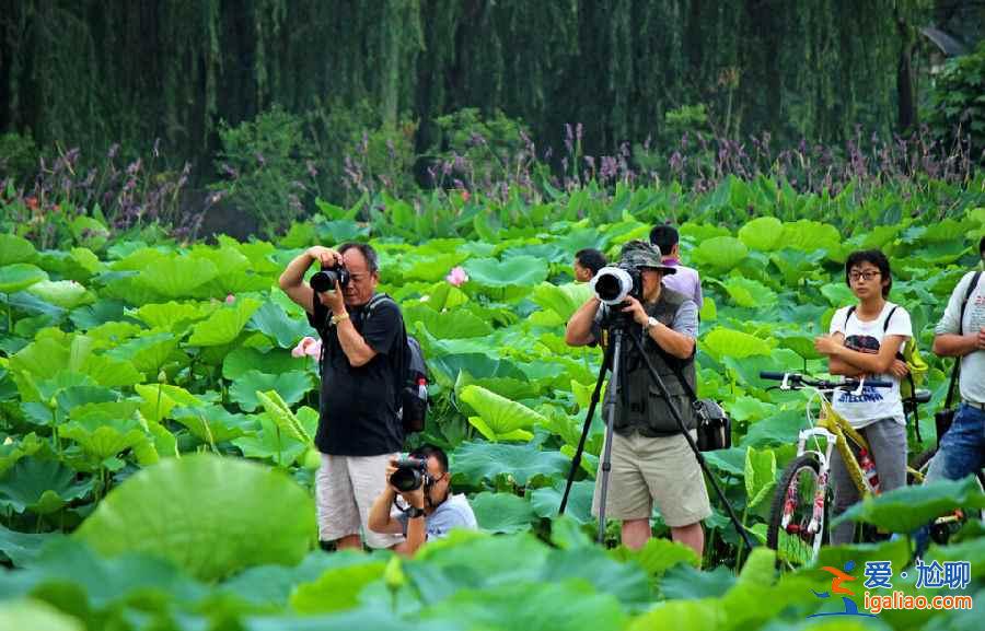 春天到了，盤點(diǎn)成都戶外郊游勝地？