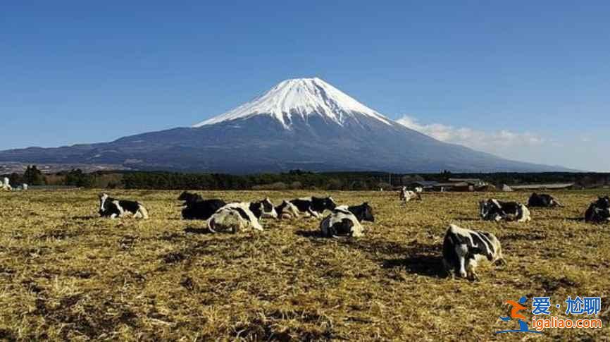 【富士山攝影指南】日本富士山拍攝指南（最佳拍攝地點、周邊住宿）？