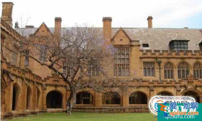 科廷科技大學本科專業設置？