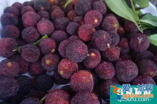 關(guān)于楊梅的功效與食用方法 你必須知道？