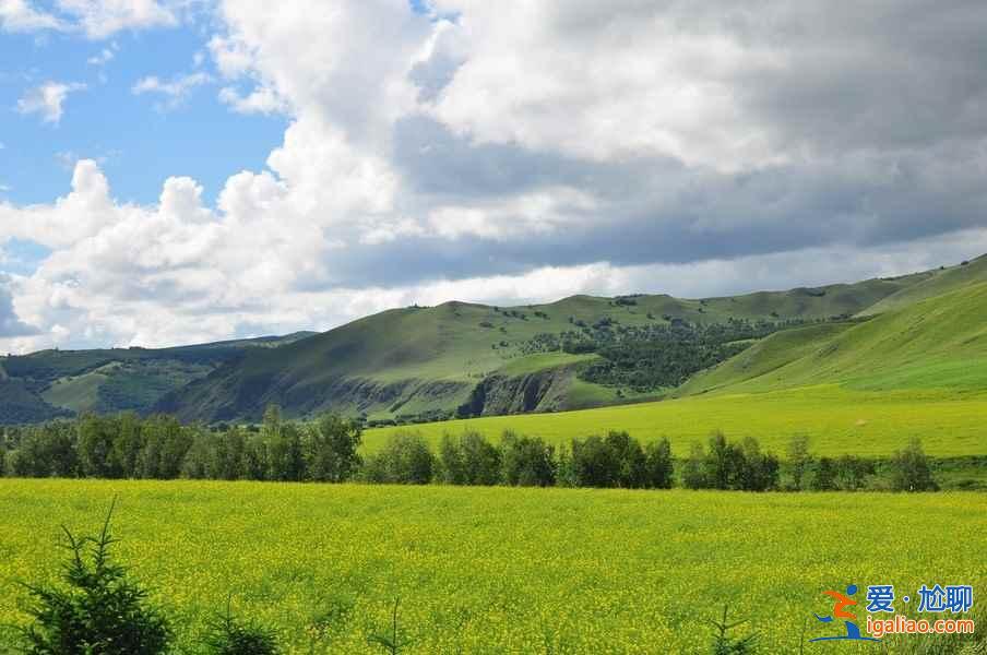 呼倫貝爾大草原景點,呼倫貝爾草原怎么玩? 呼倫貝爾大草原景點,呼倫貝爾草原怎么玩?