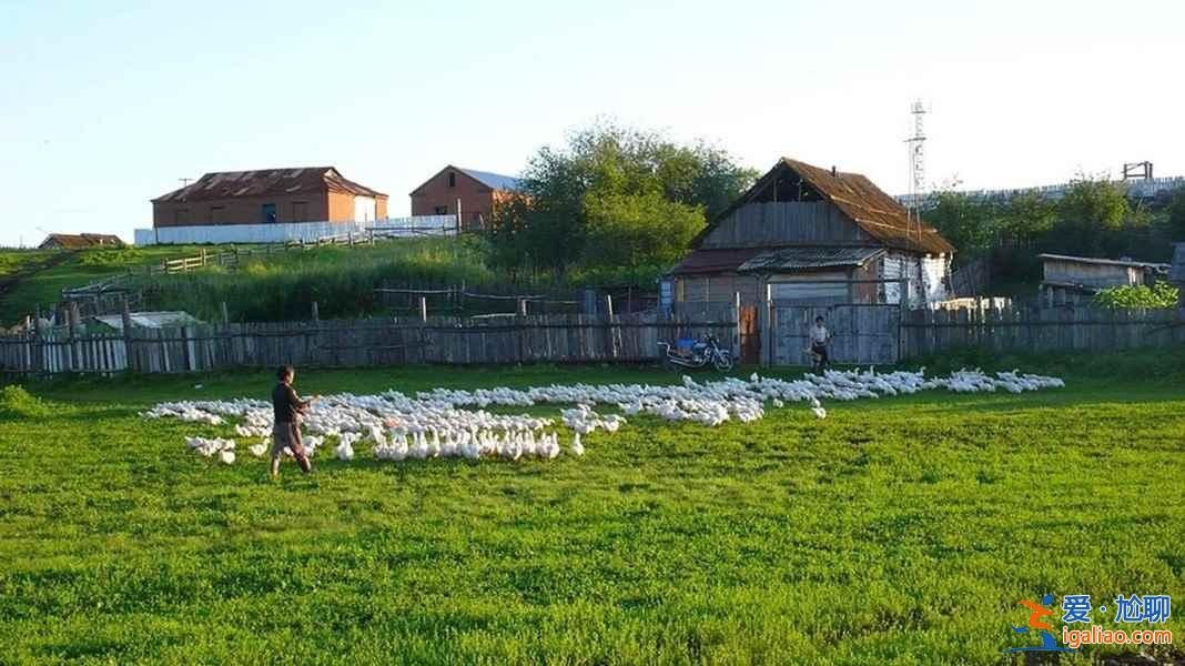 呼倫貝爾大草原景點,呼倫貝爾草原怎么玩? 呼倫貝爾大草原景點,呼倫貝爾草原怎么玩?
