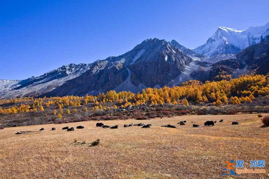 稻城熱門景點有哪些，稻城熱門景點好玩嗎，稻城熱門景點推薦？