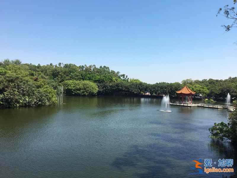 廣州蓮花山風景區門票多少錢，廣州蓮花山風景區門票價格，廣州蓮花山風景區有沒有優惠票？