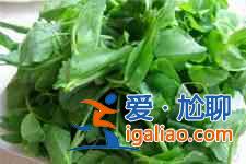 豌豆苗的做法? 豌豆苗的做法?