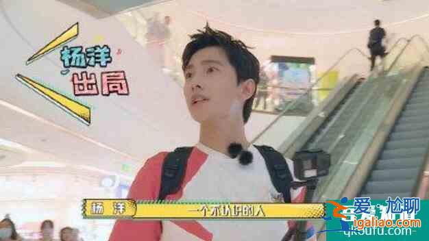 維嘉戀情是假的 為騙楊洋與商場客人假裝情侶？