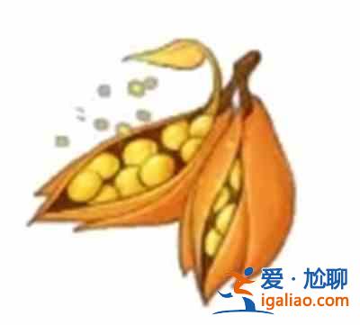 迷你世界神圣果實方塊怎么獲得？神圣樹種子道具作用介紹？
