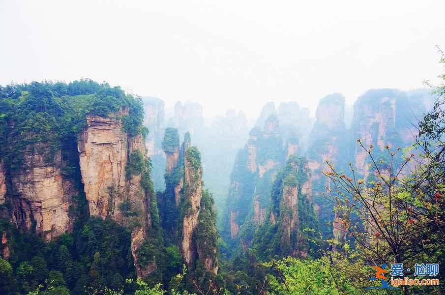 武陵源熱門景點有哪些，武陵源哪些景點值得去，武陵源景點攻略？
