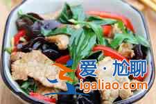 車前草的食用方法？