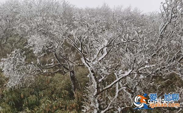 低溫藍色預警！南方降水頻繁 12省區部分地區氣溫偏低5℃？