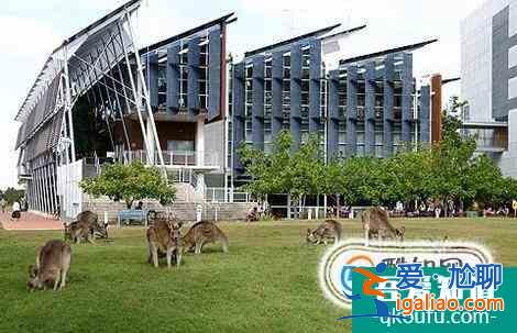 陽光海岸大學在哪個城市？？