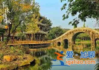 【成都火鍋店被吃垮】成都火鍋有多好吃，成都火鍋你真的會吃嗎？
