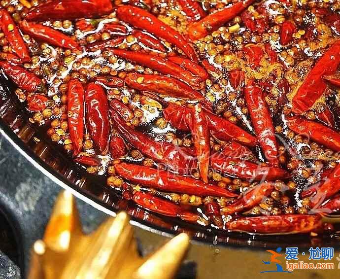 【成都火鍋店被吃垮】成都火鍋有多好吃，成都火鍋你真的會吃嗎？