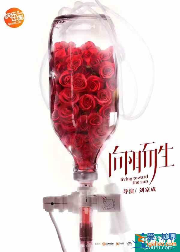 導演劉家成談新作《向陽而生》：希望讓大家敢于面對生死？