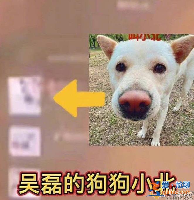 網(wǎng)曝吳磊微信置頂疑是向涵之  吳磊向涵之疑似戀愛(ài)？