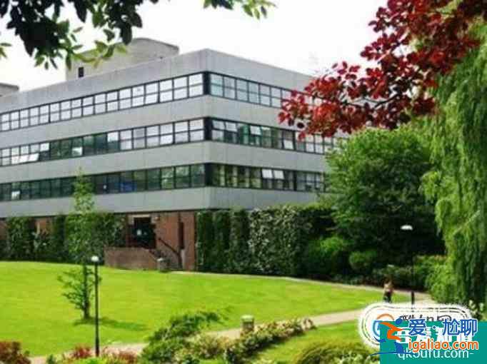 英國紐卡斯爾大學研究生預科學費及入學專業全面解析！？