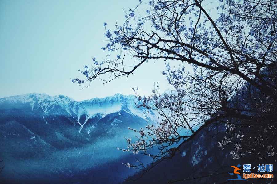 三月國內出游好地方推薦，三月國內最美目的地排行？