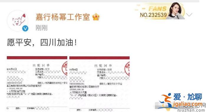 瀘定抗震救災72小時 楊冪忙著捐款，Angelababy楊穎忙著曬狗，反差太大