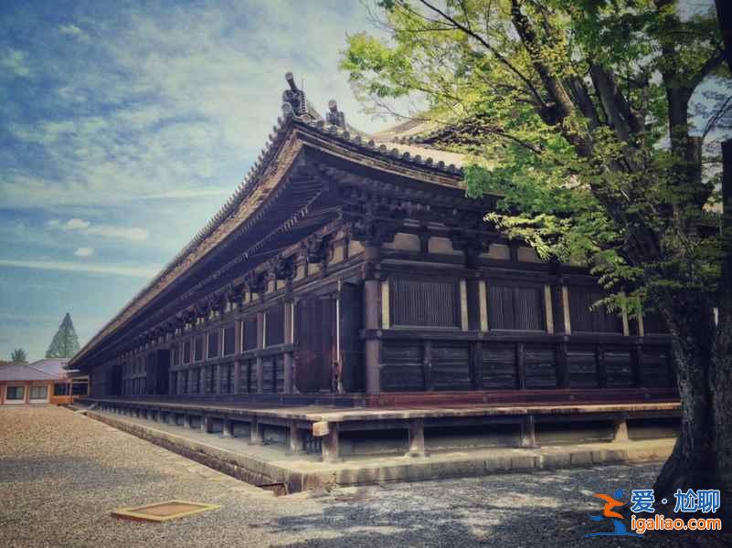 新一小蘭修學(xué)旅行地點是哪？朝圣怎么玩？柯南特別篇新蘭發(fā)糖正式確認關(guān)系！？