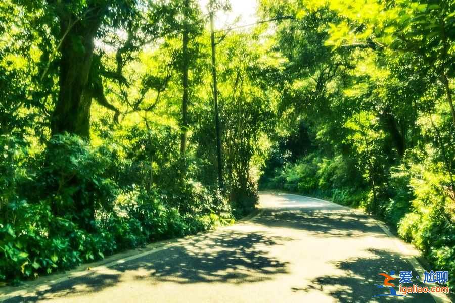廣州踏青去哪好，廣州哪里適合踏青，廣州踏青好去處？