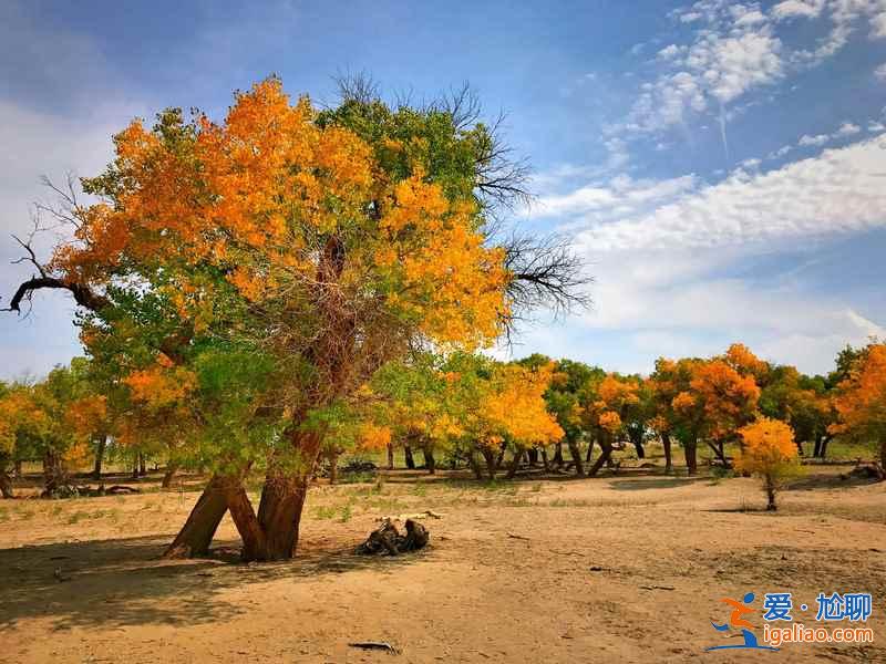 壯美內蒙古，遼闊草原的故鄉？