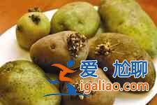 豆角燉土豆？