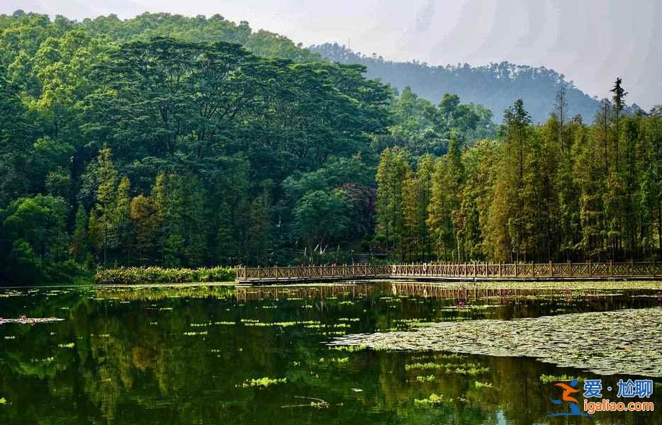 廣州踏青去哪好，廣州哪里適合踏青，廣州踏青好去處？