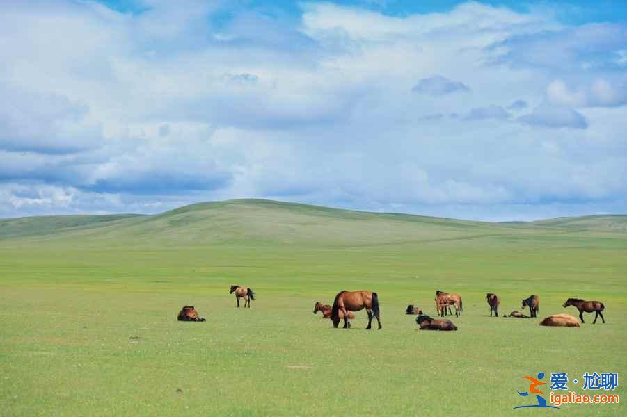 壯美內蒙古，遼闊草原的故鄉？