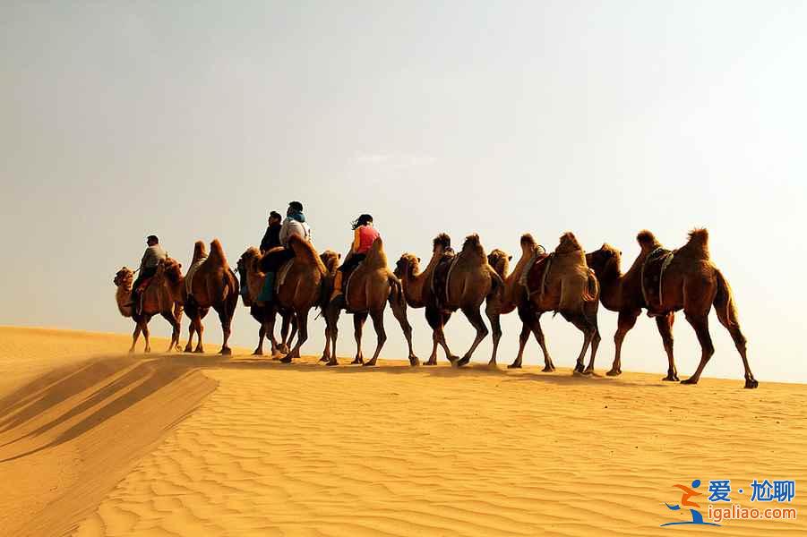 壯美內蒙古，遼闊草原的故鄉？