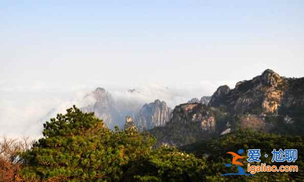 黃山四絕是什么？黃山有哪些奇石？？