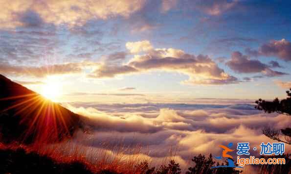 黃山四絕是什么？黃山有哪些奇石？？