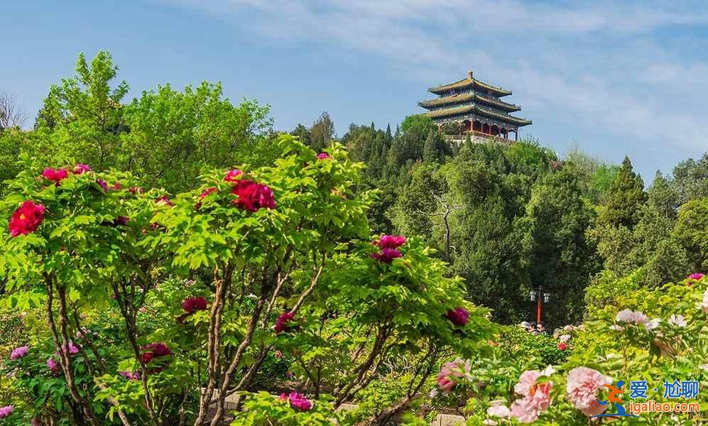 北京周末踏青好地方，北京周末踏青推薦，北京周末踏青攻略？