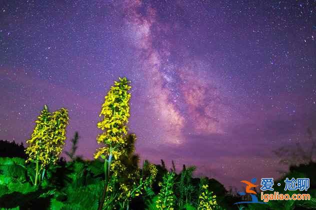 北京周邊看星星的地方，最美星空就在你身邊？