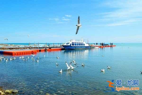 西寧怎么去青海湖，從西寧怎么去青海湖？