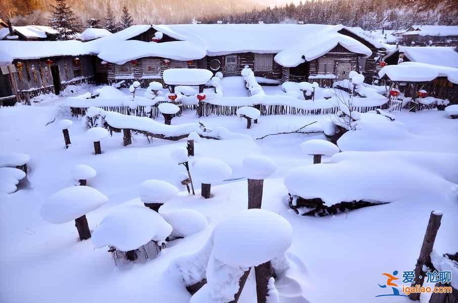 【雪鄉在哪里】雪鄉最佳旅游時間？