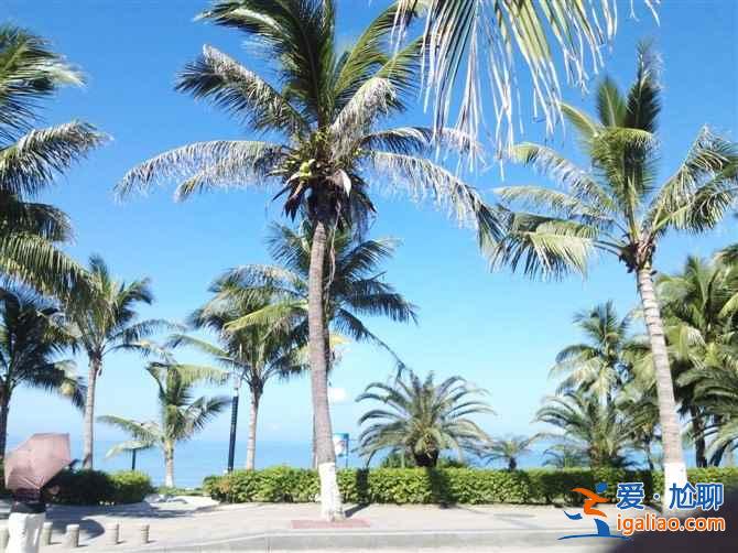 【春節去三亞 】春節去三亞貴嗎,春節去三亞要多少錢? 【春節去三亞 】春節去三亞貴嗎,春節去三亞要多少錢?