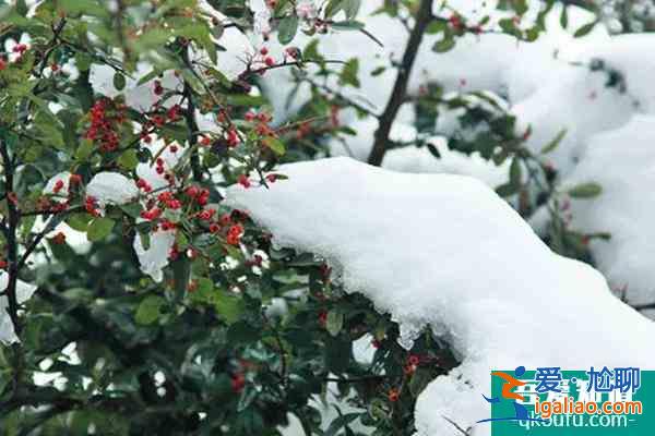 12月25日起云山國家森林公園受低溫雨雪天氣影響暫時閉園？