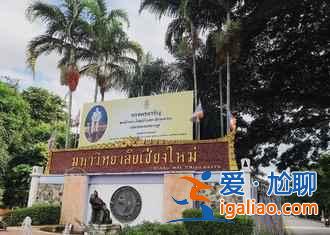 在清邁學習象語與大象來一場親密的溝通？
