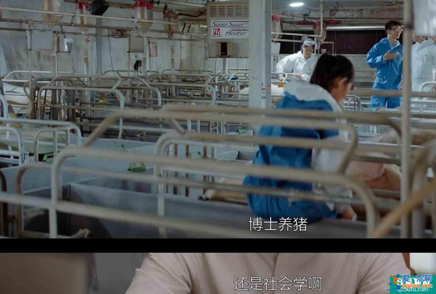 緊跟時代，2年前的《平凡的榮耀》居然演了現在發生的事？