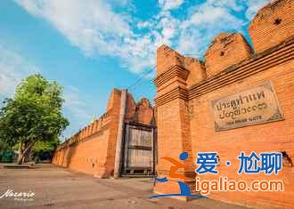 在清邁學習象語與大象來一場親密的溝通？