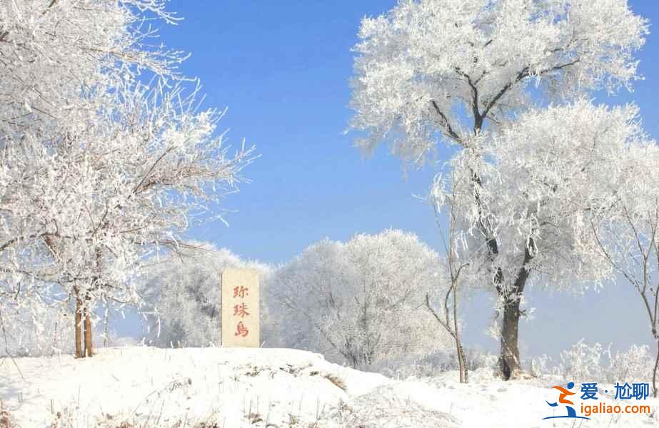 什么時候去霧凇島最好，霧凇島最佳旅游時間？