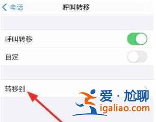 iphone12來電轉移如何設置？