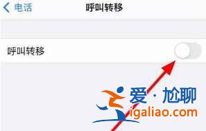 iphone12來電轉移如何設置？
