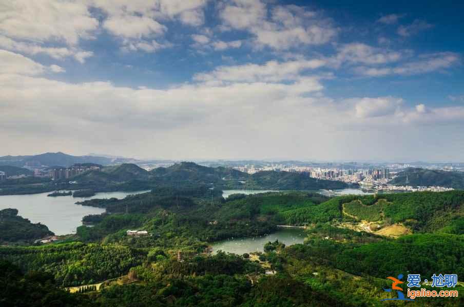 去深圳，體會繁華都市里的別樣景致？