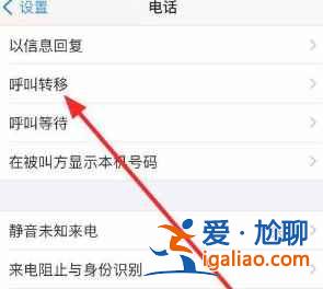 iphone12來電轉移如何設置？