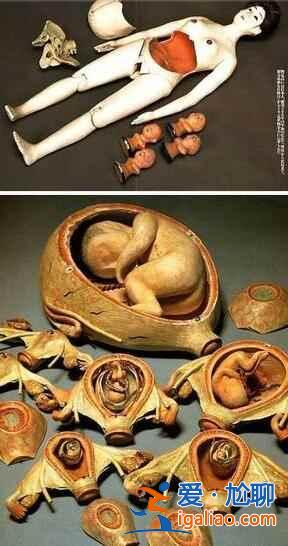 日本十大BT玩具,都是搶手貨!? 日本十大BT玩具,都是搶手貨!?