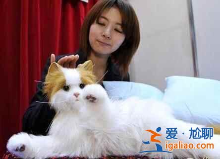 日本十大BT玩具,都是搶手貨!? 日本十大BT玩具,都是搶手貨!?