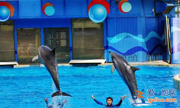 香港必游景點TOP10,遇見最美的香港? 香港必游景點TOP10,遇見最美的香港?