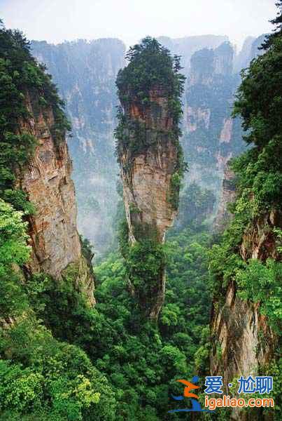 不能錯(cuò)過(guò)的張家界魔幻奇景：重返《阿凡達(dá)》的搖籃？